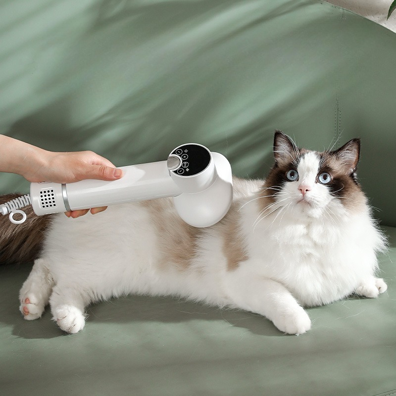 Pet Supplies And More - Máquina secadora eléctrica inteligente para mascotas,