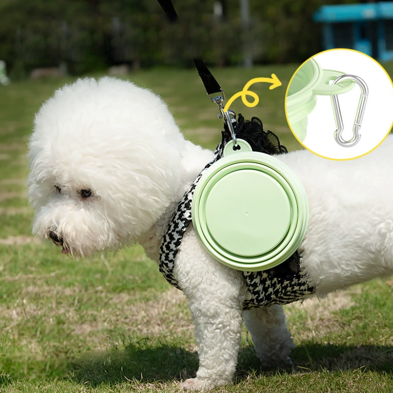 Suministros para mascotas de C - Pet Supplies Dog Food reseña y precio
