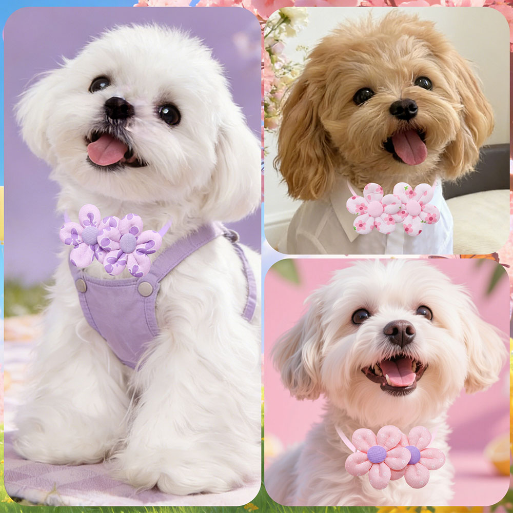 10 Uds. Lazos para perros con  - Pet Supplies Dog Food reseña y precio
