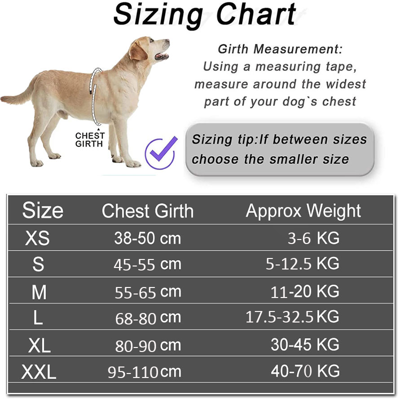 Dropshipping, chaleco con arné - No Pull Dog Harness reseña y precio
