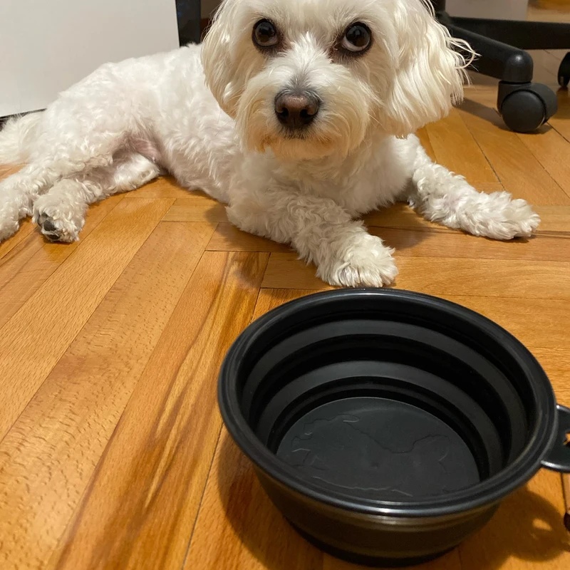 1/2 piezas de tazón plegable d - Pet Supplies Dog Food reseña y precio
