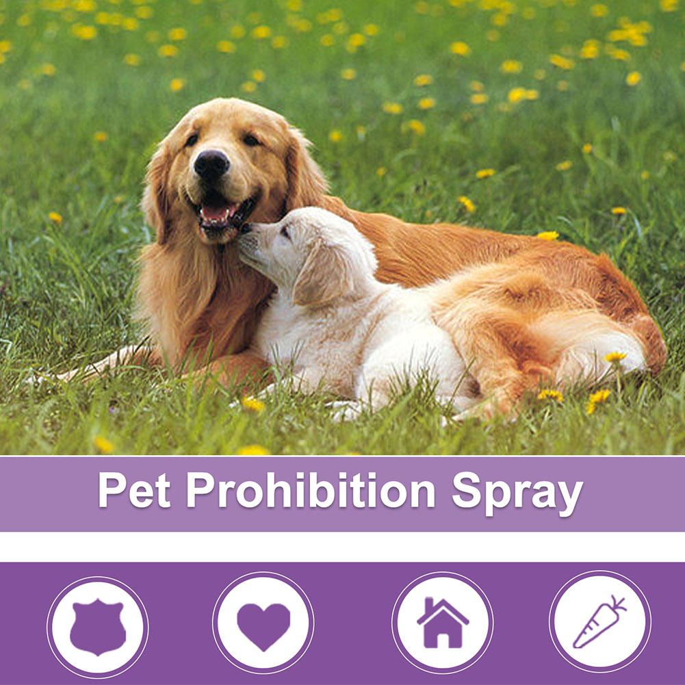 Spray Calmante para Mascotas,  - Pet Supplies Vending Machine reseña y precio