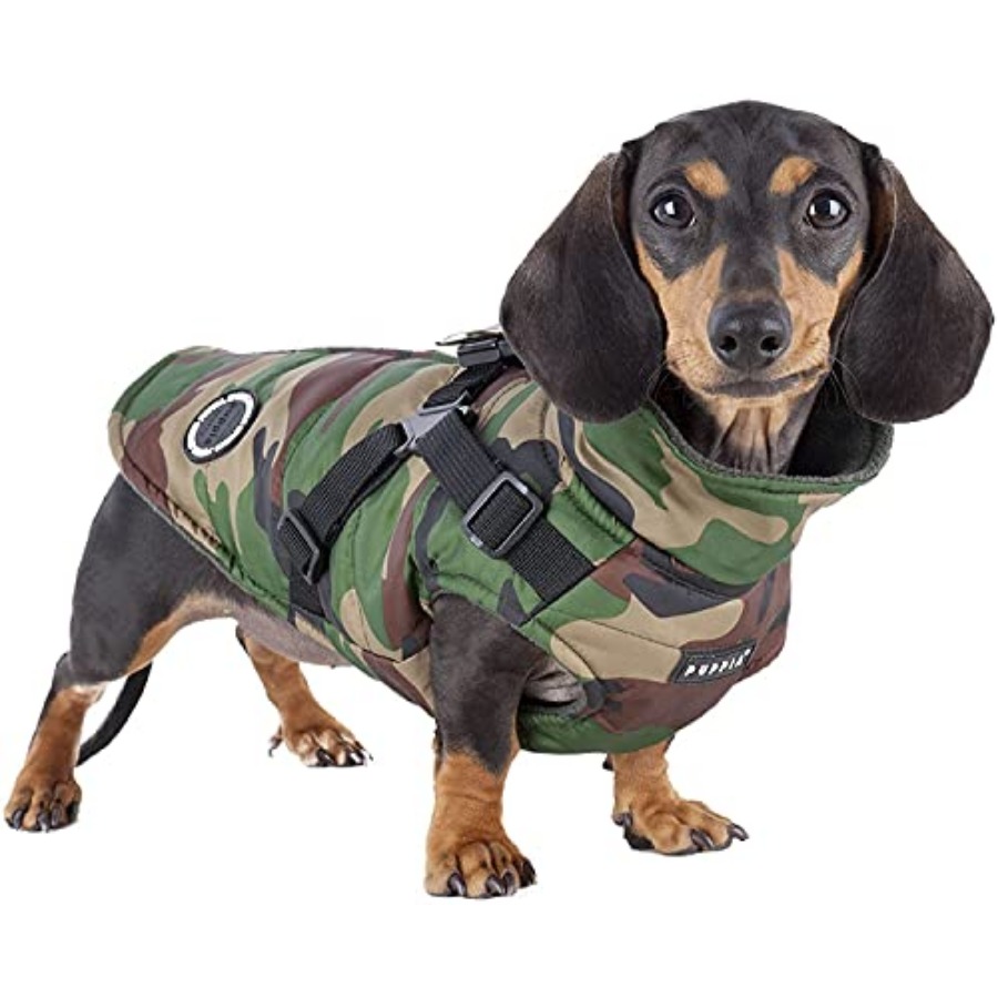 Abrigo de invierno para perros - No Pull Dog Harness reseña y precio