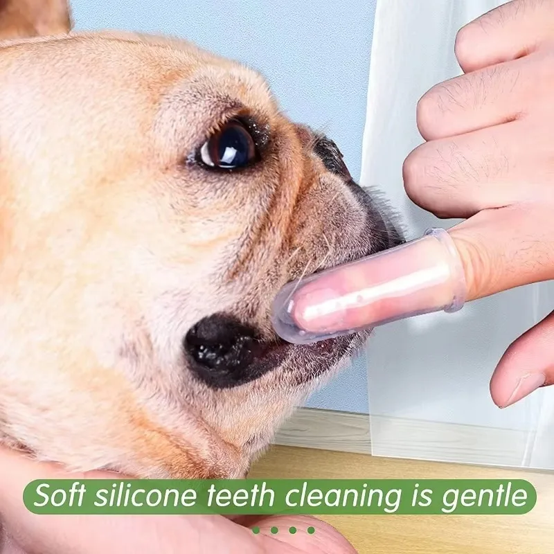 Cepillo de dientes súper suave - Pet Supplies Dog Food reseña y precio
