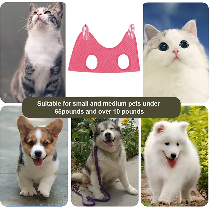 Hamaca de belleza para mascota - Pet Supplies Nail Trim reseña y precio