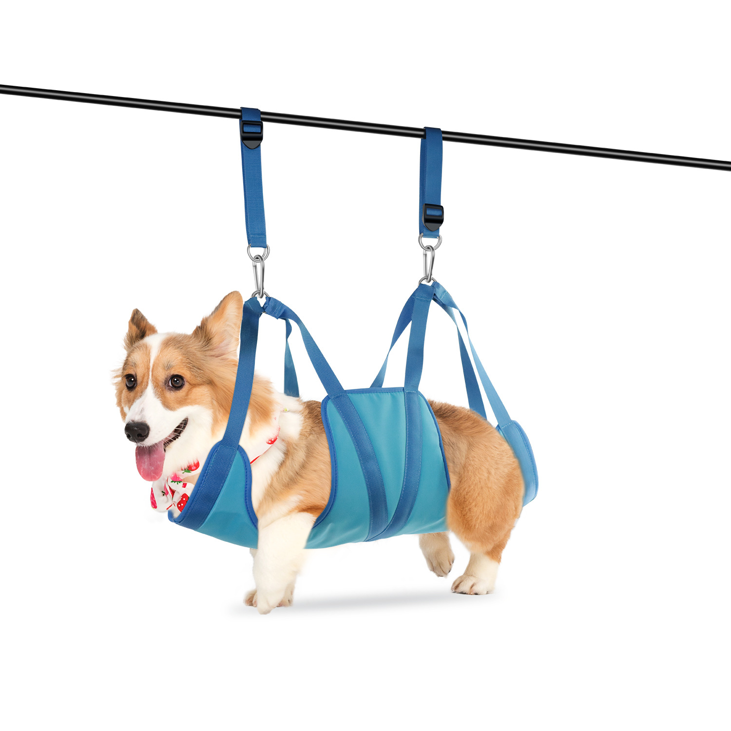 Hamaca para el cuidado de masc - Pet Supplies Nail Trim reseña y precio