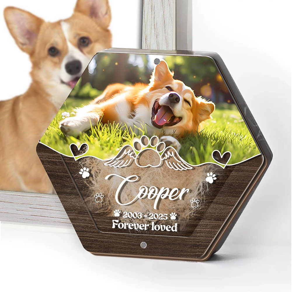 Caja de almacenamiento de pelo - Pet Supplies Vending Machine reseña y precio