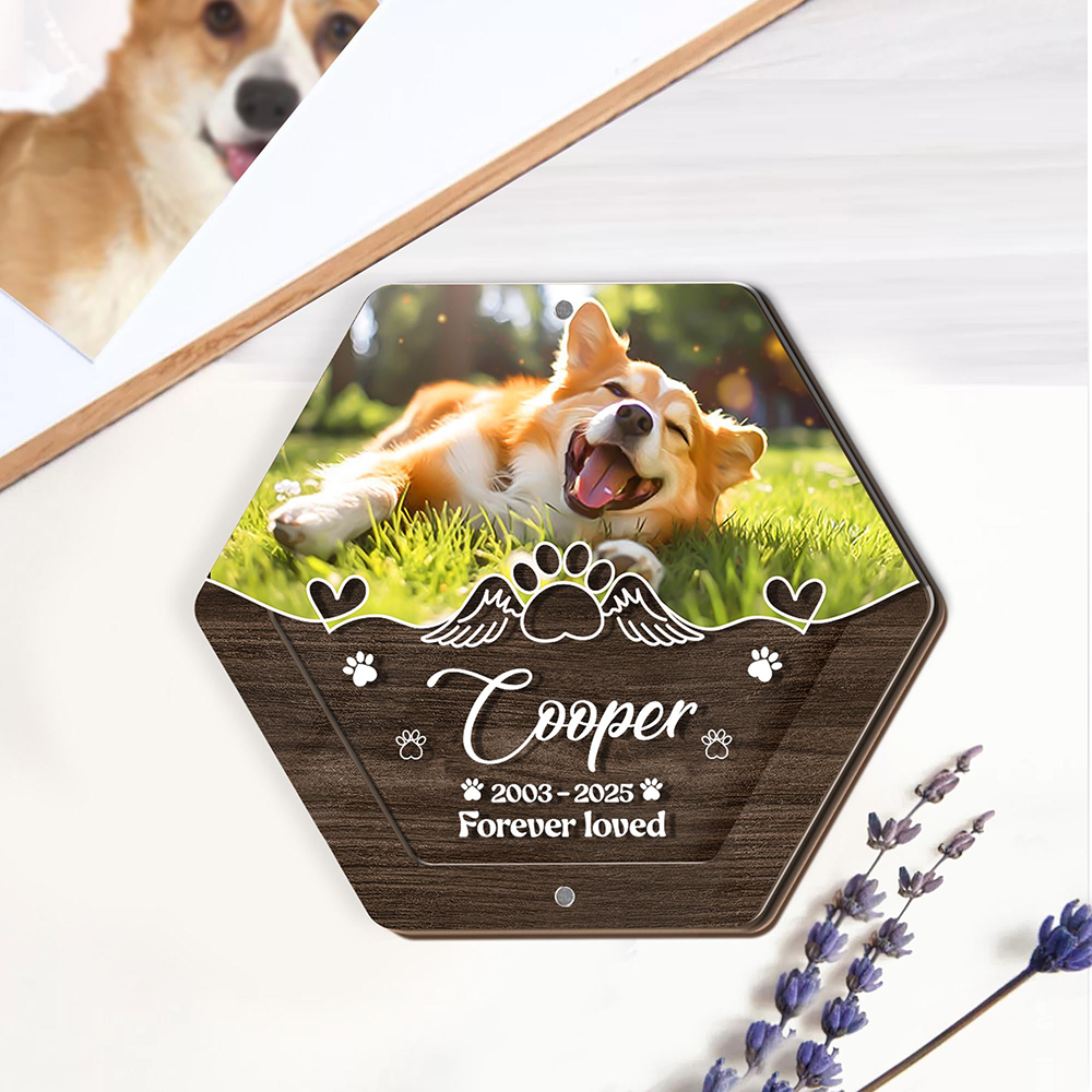 Caja de almacenamiento de pelo - Pet Supplies Vending Machine reseña y precio