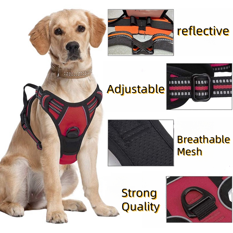 Arnés Antitirones para Perros  - No Pull Dog Harness reseña y precio
