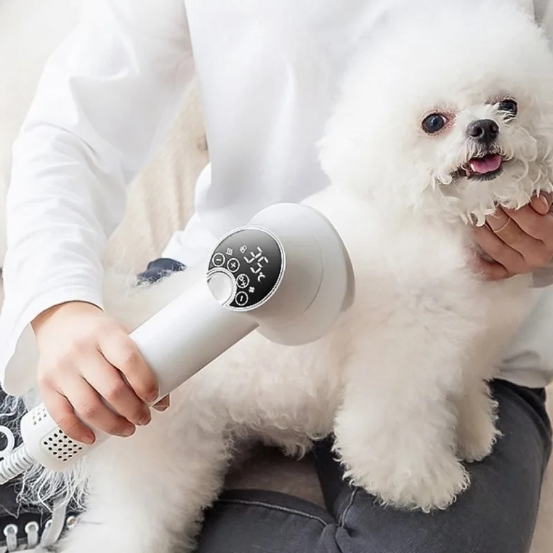 Secador de pelo profesional pa - Pet Supplies And More reseña y precio