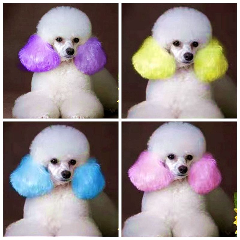 Crema colorante para mascotas, - Pet Supplies Vending Machine reseña y precio