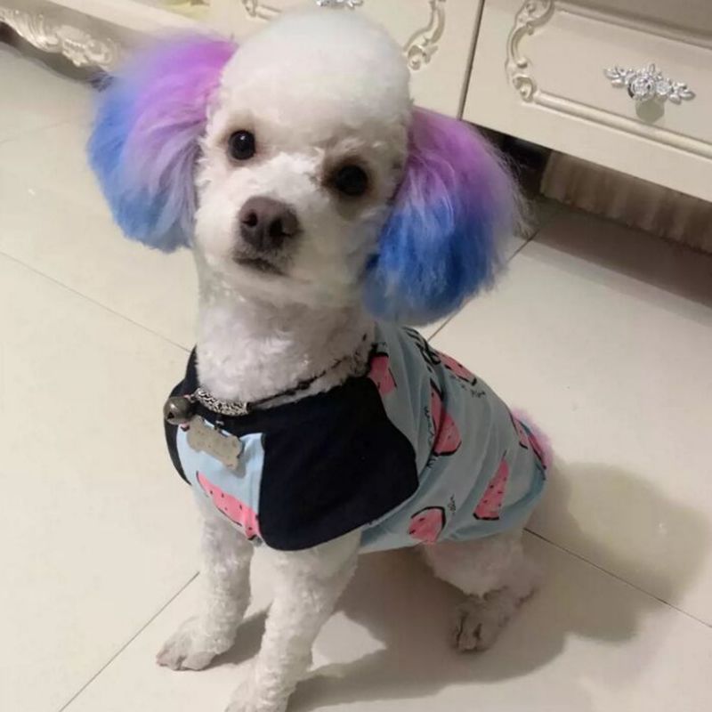 Crema colorante para mascotas, - Pet Supplies Vending Machine reseña y precio