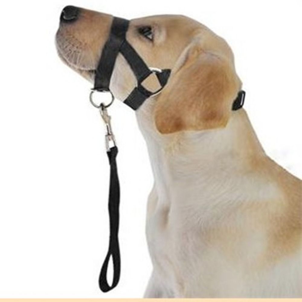 Arnés de nailon ajustable anti - No Pull Dog Harness reseña y precio