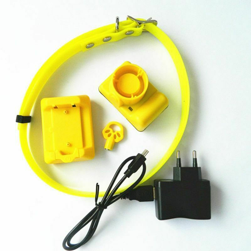 Collar de perro impermeable al - Training Clicker Dog reseña y precio