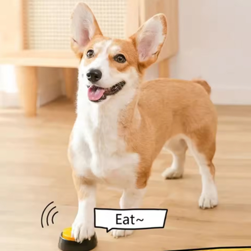 Botones de comunicación para p - Training Clicker Dog reseña y precio