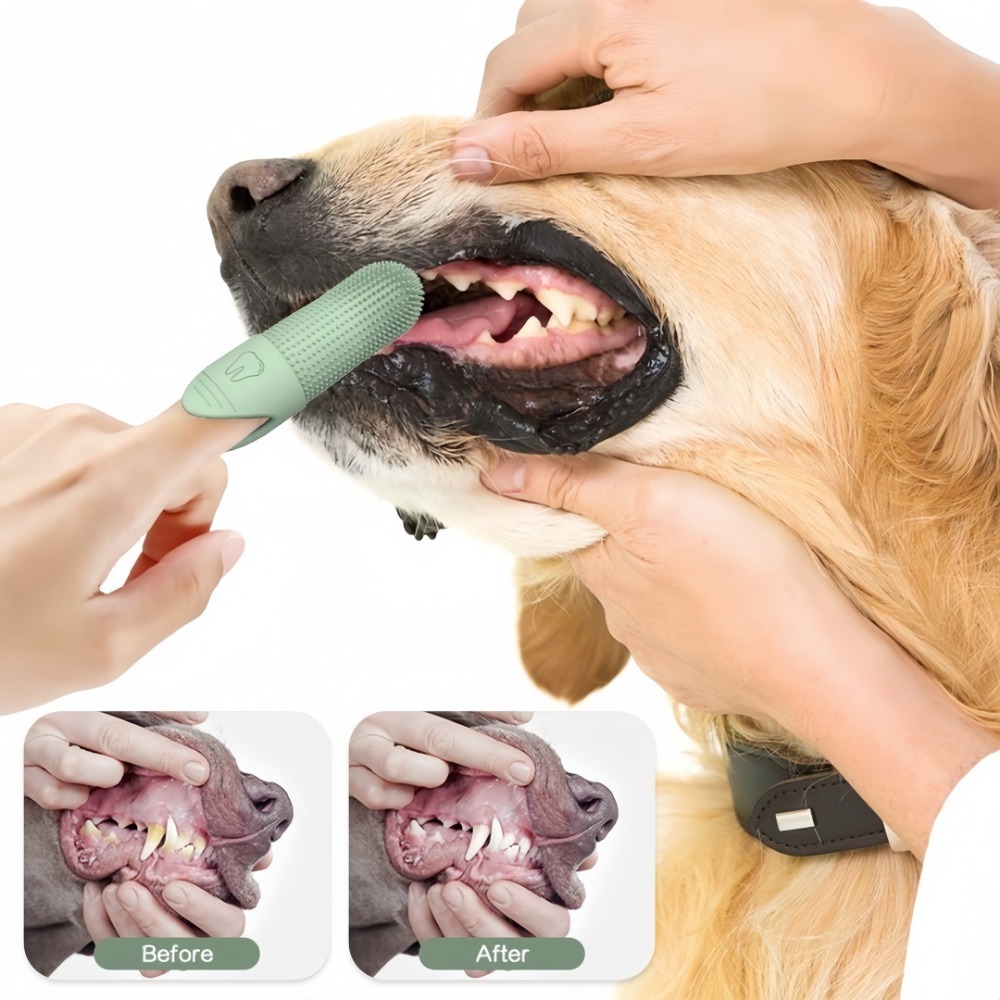 360 °   Cepillo de Dientes de  - Pet Supplies Dog Food reseña y precio