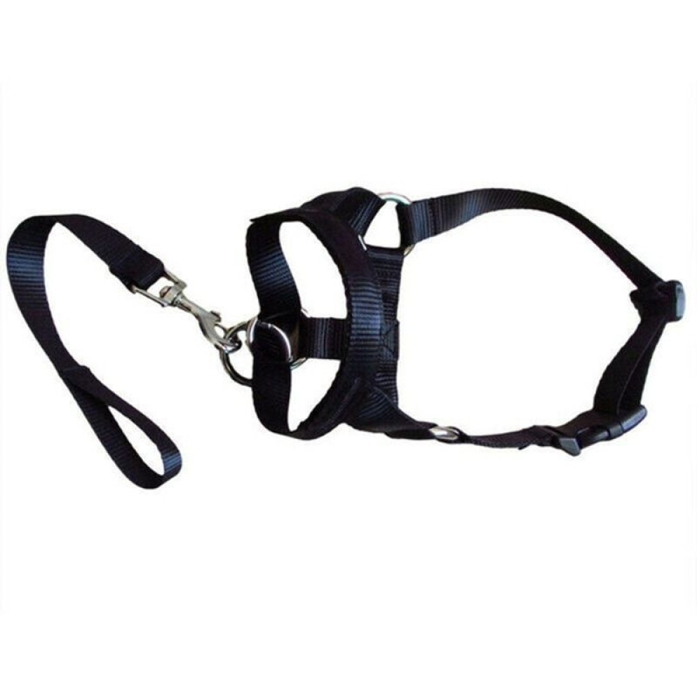 Collar transpirable para perro - No Pull Dog Harness reseña y precio
