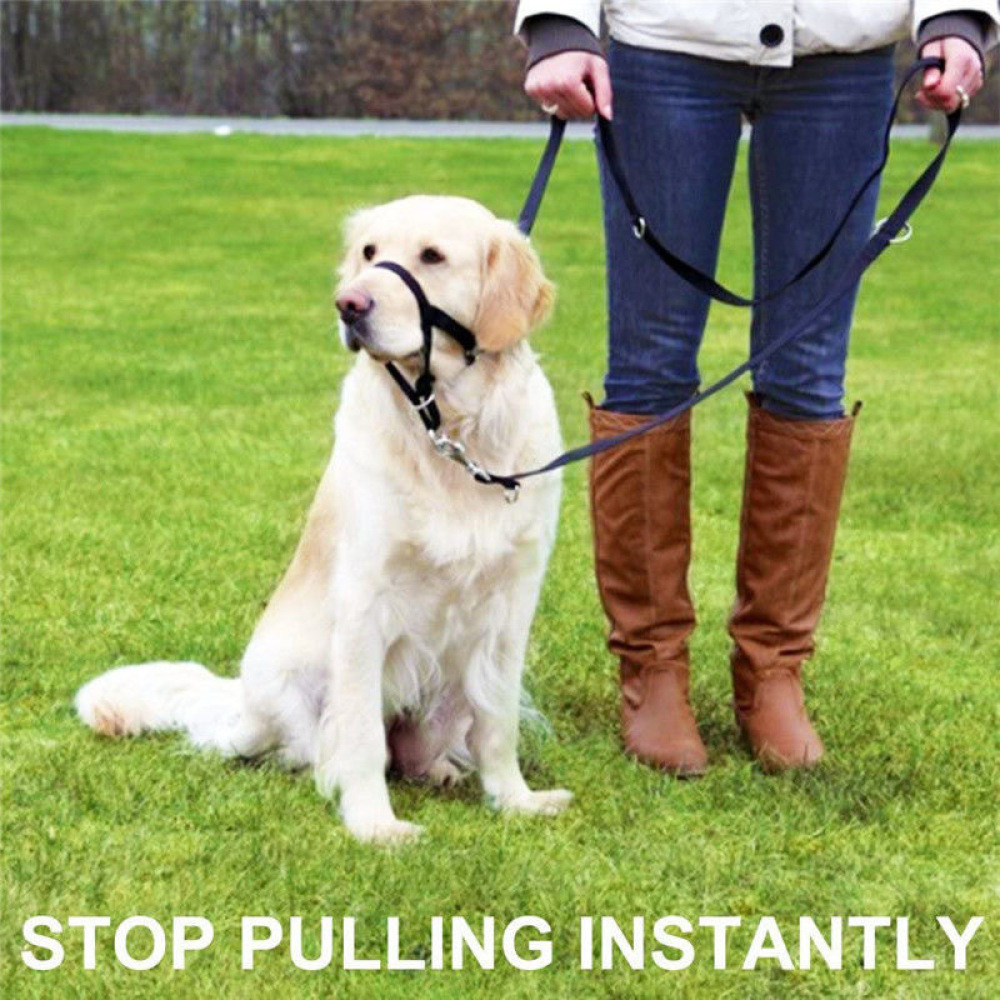 Collar transpirable para perro - No Pull Dog Harness reseña y precio
